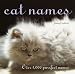 Book Cat Names