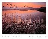 Sanford Agliolo (Geese over Marsh) Art Poster Print - 16 X 20