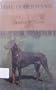 The Dobermann
