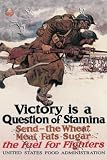 Art Poster, Victory is a Question of Stamina - 18.75 x 27.5