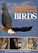 Everyones Guide to South African Birds