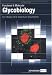 Book Functional and Molecular Glycobiology (Bios Series Advanced Texts)