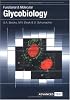 Functional and Molecular Glycobiology (Bios Series Advanced Texts)