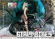 Girls & Bikes 2010 Kalender (Jubil�umsausgabe): the best of 10 years