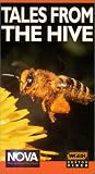 Nova: Tales From the Hive by Wgbh Boston