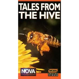 Nova: Tales From the Hive [VHS]