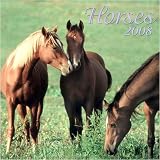 Horses 2008 Mini Wall Calendar