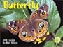 Butterfly: 2001
