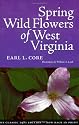 Spring Wildflowers In West Virginia