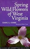 Spring Wildflowers In West Virginia