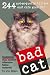 Search : Bad Cat