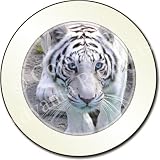 WHITE TIGER on PATH Tax Disc Holder