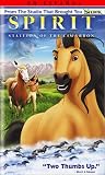  : Spirit - Stallion of the Cimarron