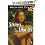 Strays Like Us