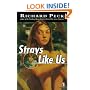 Strays Like Us
