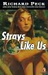 Strays Like Us