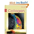 Aufbaukurs Collagen