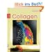 Aufbaukurs Collagen