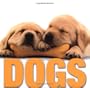 Dogs (Supercubes)