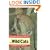 The Natural History of the Wild Cats (Natural History of Mammals Series)