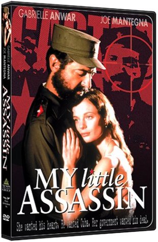 My Little Assassin under The Dvd Store