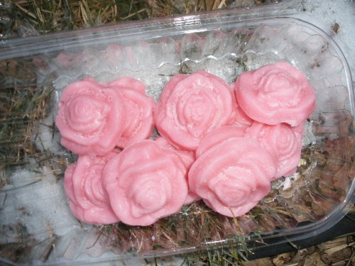 Holy Hill Gourmet Raspberry Rose Fudge 12ct by Holy Hill Gourmet