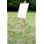 Field Easel Set