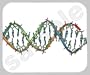 DNA Double Helix Mouse Pad