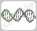 DNA Double Helix Mouse Pad
