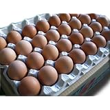 ���i�̏ڍ�