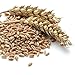 Augason Farms Hard Red Wheat Emergency Food Storage 26 Pound Pail