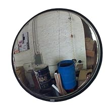 See All Circular Stainless Steel Outdoor Convex Security Mirror with Stainless Steel Back