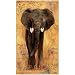 African Voyage I by Gosia Gajewska- 38x53