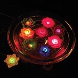 AquaGlow Floating Light Garden