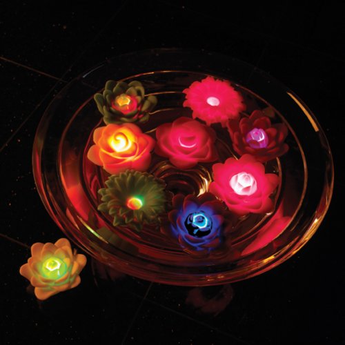 AquaGlow Floating Light Garden