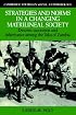 Strategies and Norms in a Changing Matrilineal Society: Descent, Succession and Inheritance among the Toka of Zambia (Cambridge Studies in Social and Cultural Anthropology)