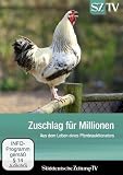 Zuschlag für Millionen