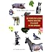 Les Fleurs du Dr Bach pour le bien-�tre et la Sant� de nos animaux