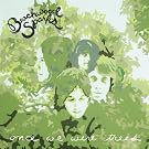 Once We Were Trees