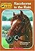 Racehorse in the Rain (Animal Ark Holiday Treasury #2) (Animal Ark Series #39)