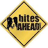 New  Border Collie - Bites Ahead !  Crossing Dog