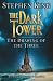 The Dark Tower: Drawing of the Three Bk. 2 (Dark Tower)