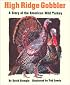 High Ridge Gobbler: A Story of the American Wild Turkey