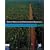 Natural Resource and Environmental Economics (3rd Edition)