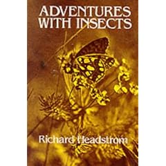 Adventures with Insects