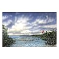 Sanibel Splendor by James Harris- 39x25"