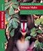 Book Primate Males: Causes and Consequences of Variation in Group Composition