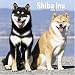 Shiba Inu 2006 Calendar