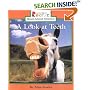 A Look at Teeth (Rookie Read-About Science)