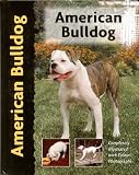 American Bulldog (Pet Love)